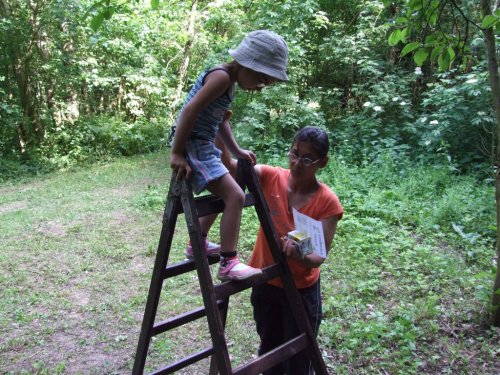 Dětský den - 1.6.2008